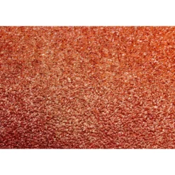 WEN 5SD80 80-Grit Adhesive-Backed 5 in. Disc Sandpaper, 10 Pack