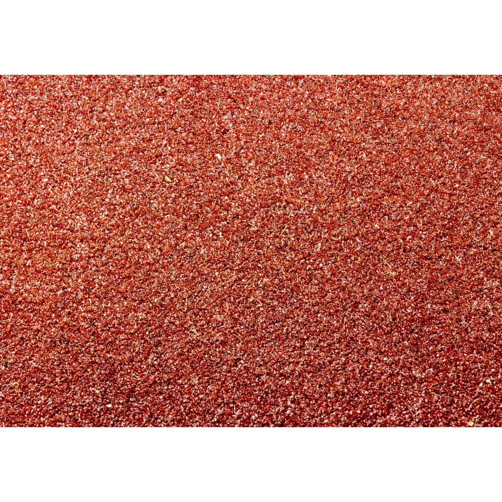 WEN 6SD240 240-Grit Adhesive-Backed 6-Inch Disc Sandpaper, 10 Pack
